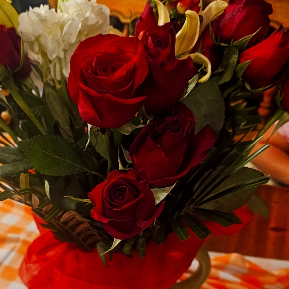 Meet your Posher, Ellie - Picture 1 of 1